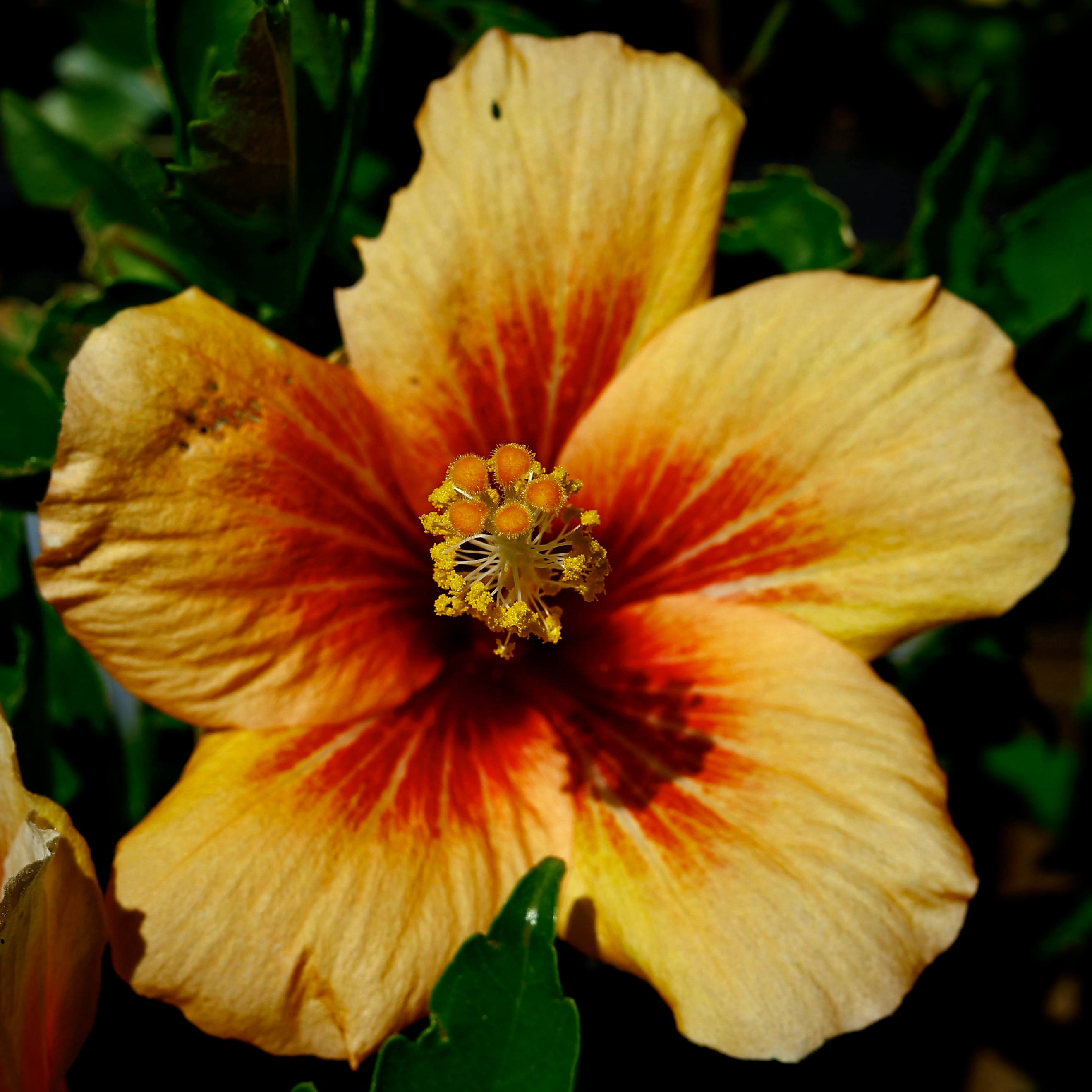 Photo of [[${photo.title}]]